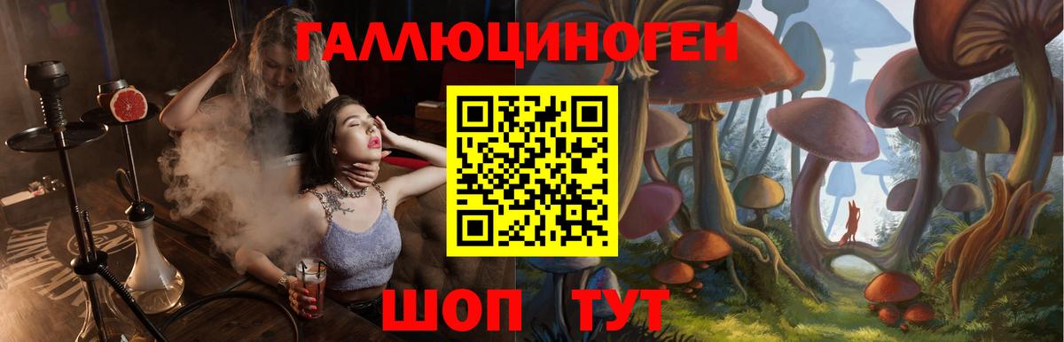 Ликино-Дулёво  Галлюциногенные грибы Cubensis  Вход с VPN 
